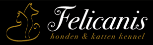 Felicanis Staging